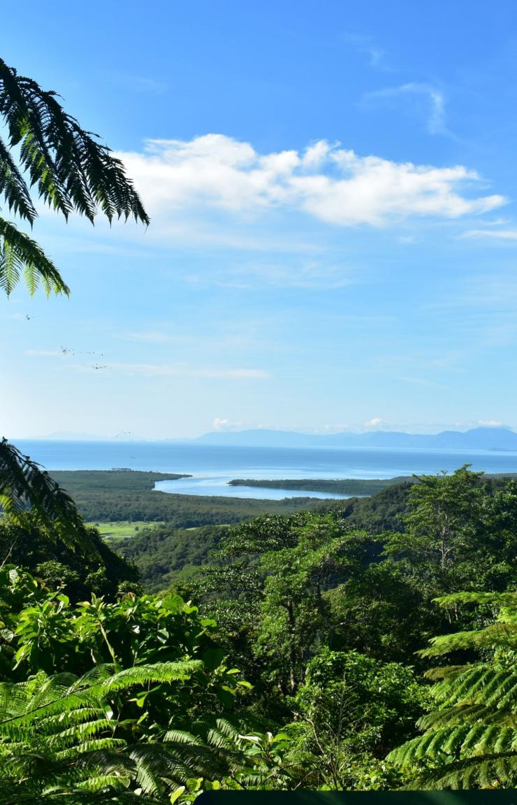 Daintree Rainforest, Queensland © Tourism Australia