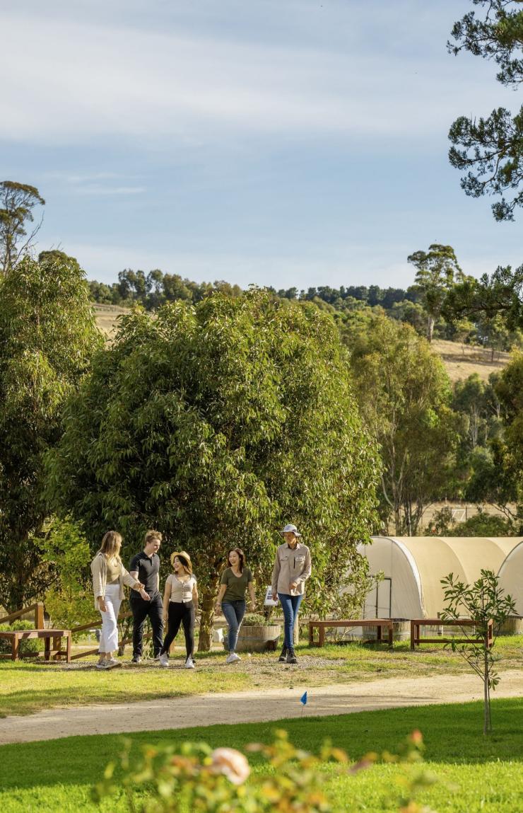 A group walks past the green houses of Jurlique Farm, Adelaide Hills, South Australia © Tourism Australia