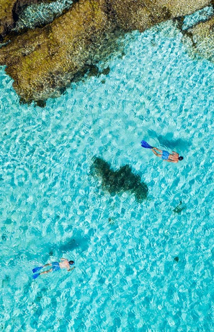 Snorkelling at Rottnest Island, Western Australia © Tourism Australia
