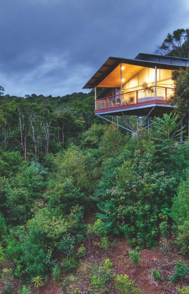 Villas set into the hill with a rainforest backdrop at O'Reilly's Rainforest Retreat, Queensland © O'Reilly's Rainforest Retreat