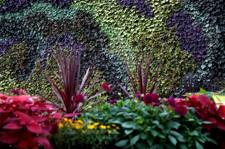 The CALYX, Sydney, NSW © Tourism Australia