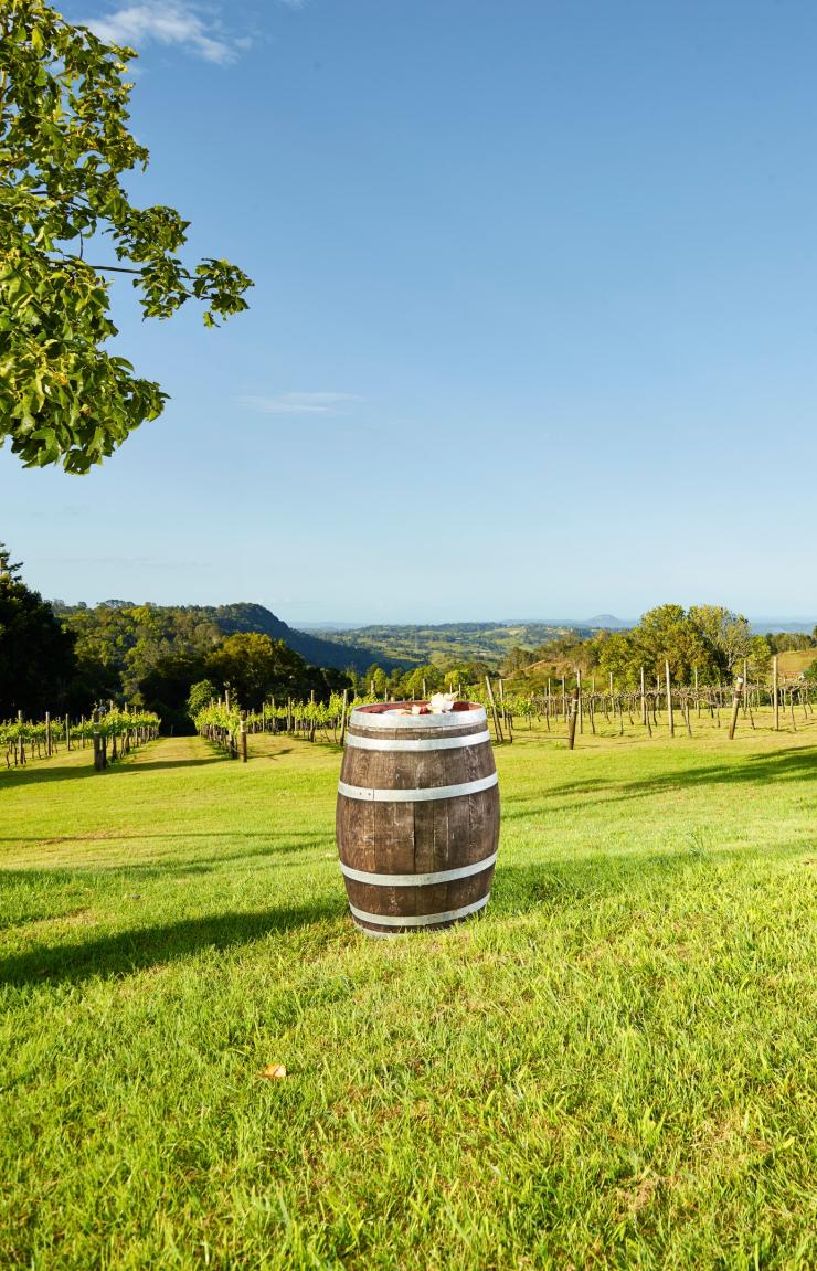 Flame Hill Vineyard, Montville, Queensland © Tourism Australia