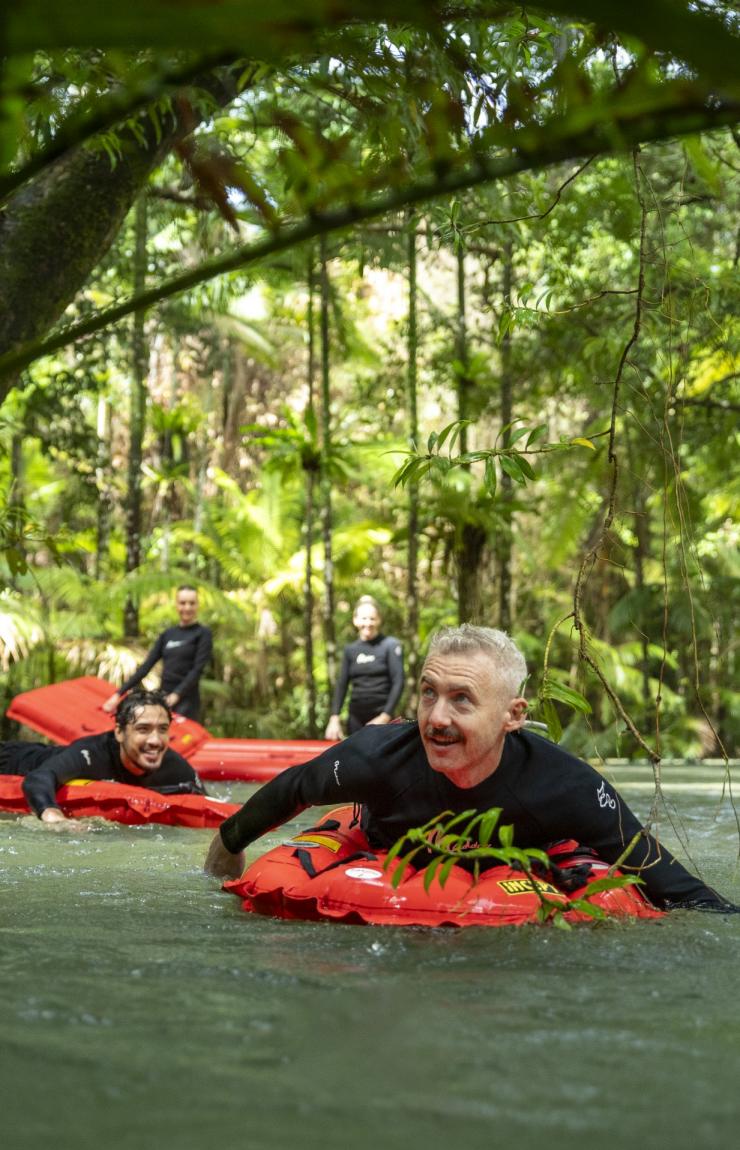 昆士兰州，戴恩树，Back Country Bliss 探险 © 昆士兰州旅游及活动推广局版权所有