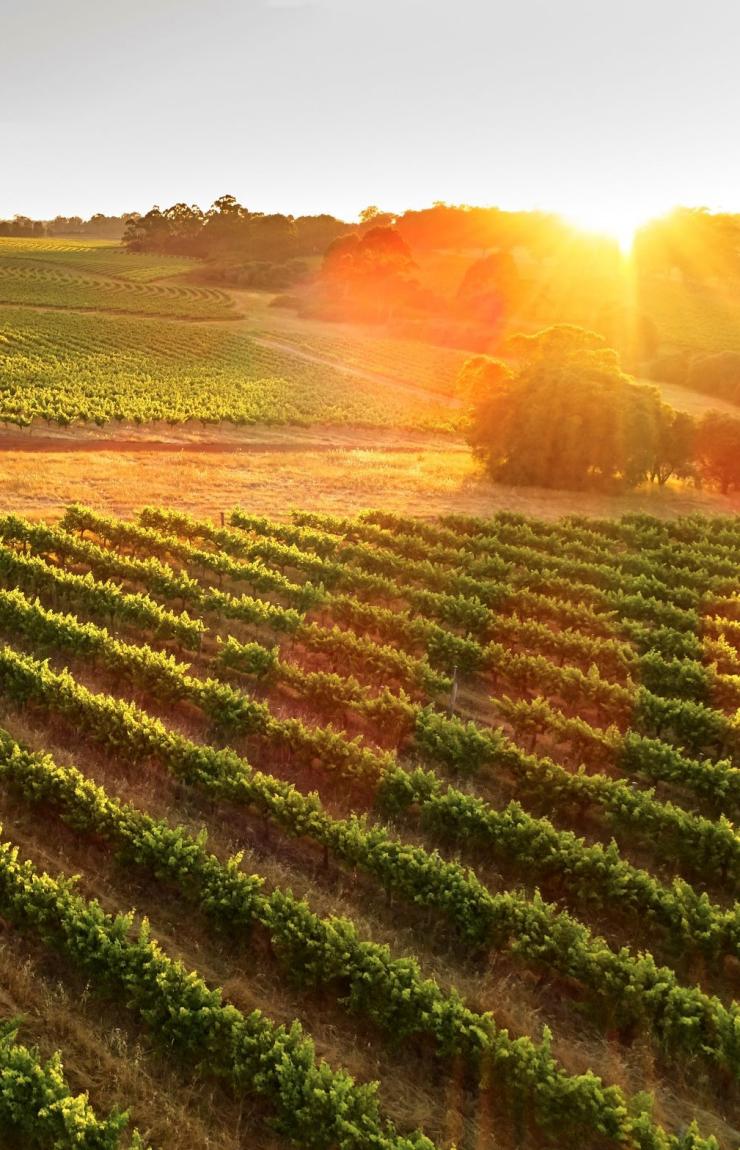 西澳大利亚州，玛格丽特河地区，露纹酒庄 © 露纹酒庄版权所有