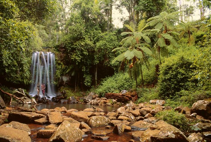 Curtis Falls, Tamborine National Park, QLD © Tourism and Events Queensland